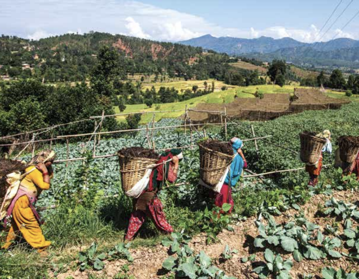 People working in an agricultural mountain environment