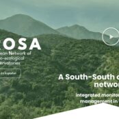 ROSA in white with a background of green vegetated mountains