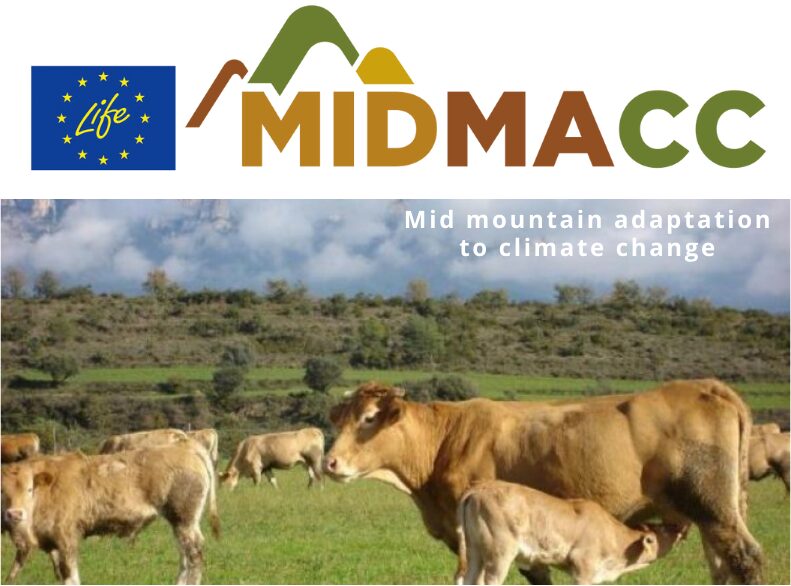 MIDMACC logo with cows in a field