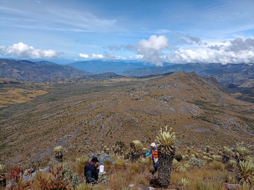 Researches from the GLORIA network working in Sierra del Cocuy, Colombia