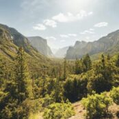 Green forested slopes with mountains in background