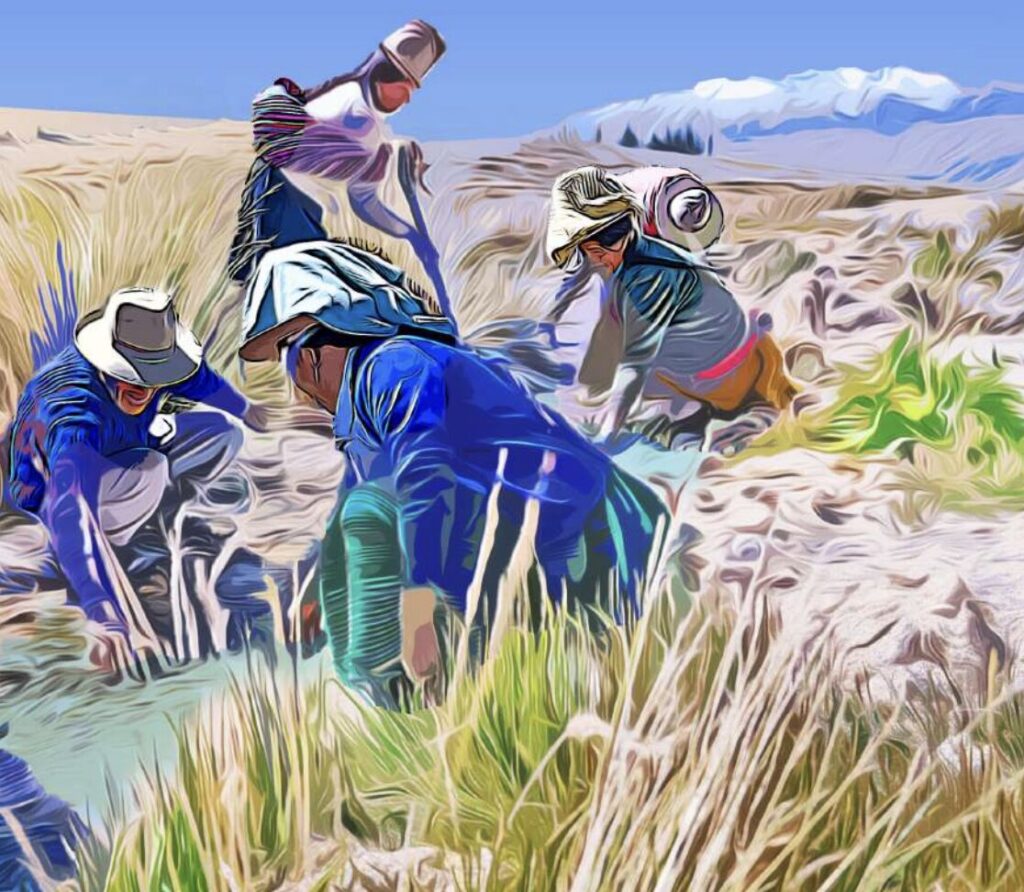 An illustration of people working in grasslands with mountains in the background.