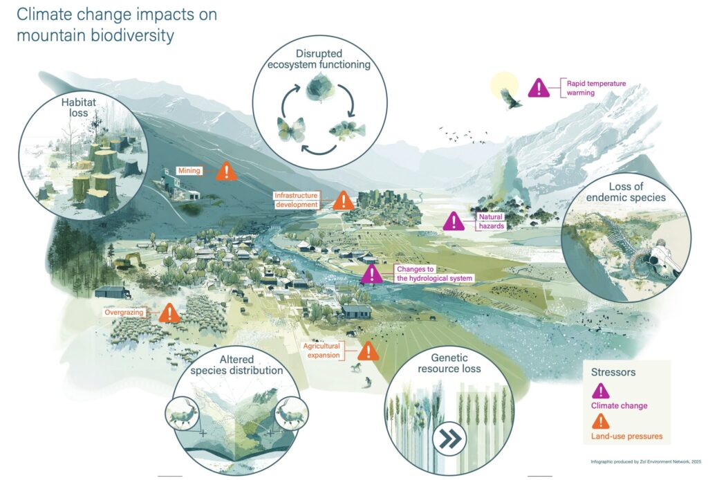 Climate change impacts on mountain biodiversity infographic

Credit: Zoï Environment Network